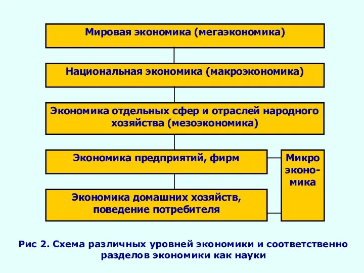 Рис 2. Схема различных уровней экономики и соответственно разделов экономики как науки