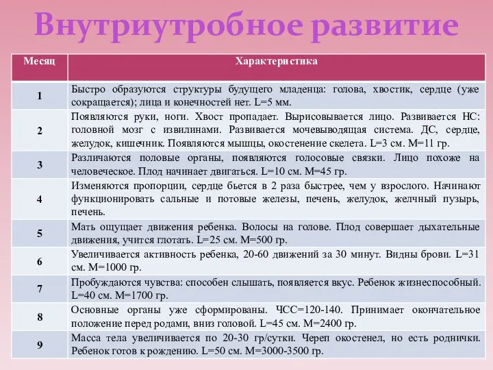 Внутриутробное развитие