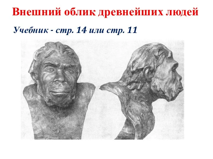 Внешний облик древнейших людей Учебник - стр. 14 или стр. 11