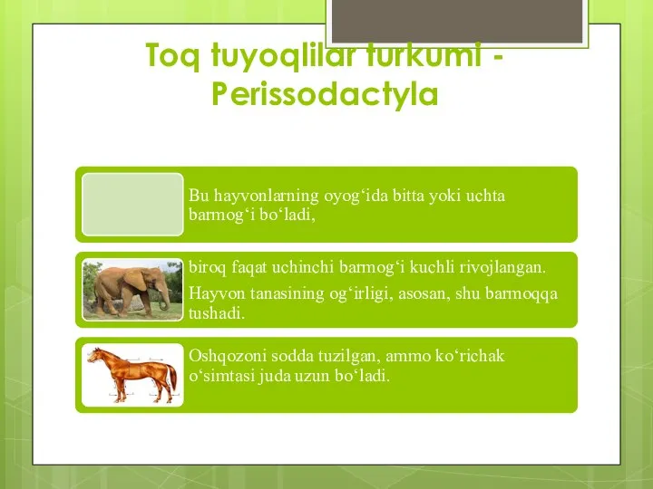Toq tuyoqlilar turkumi - Perissodactyla