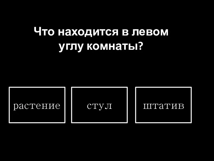 Что находится в левом углу комнаты? растение стул штатив