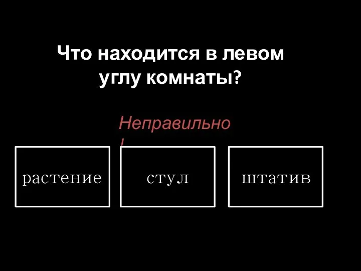 Что находится в левом углу комнаты? Неправильно! растение стул штатив