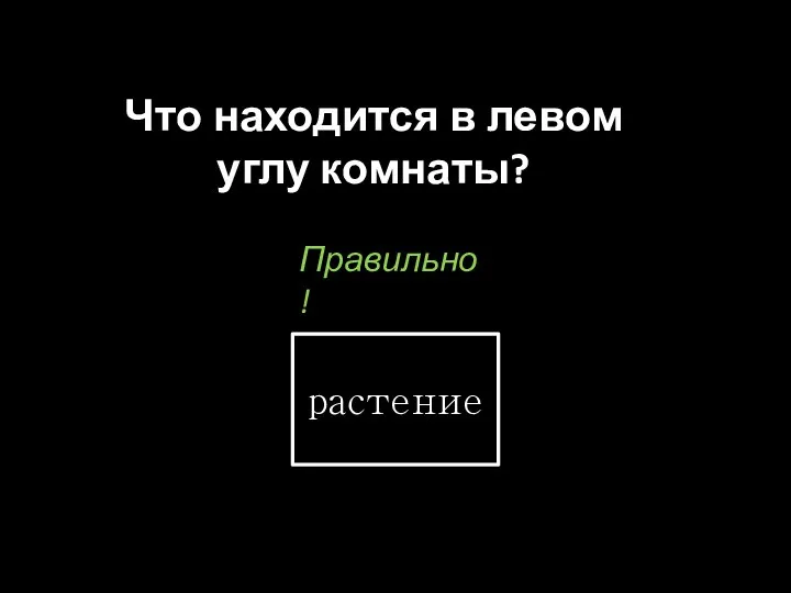 Что находится в левом углу комнаты? растение Правильно !