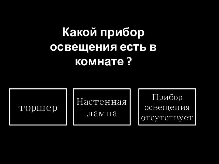 Какой прибор освещения есть в комнате ? торшер Настенная лампа Прибор освещения отсутствует