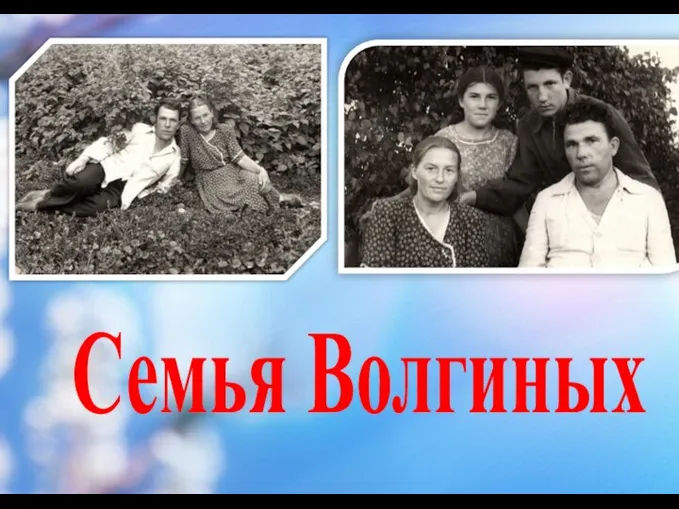 Семья Волгиных