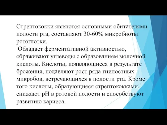 Стрептококки являются основными обитателями полости рта, составляют 30-60% микробиоты ротоглотки. Обладает ферментативной