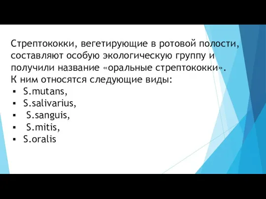 Стрептококки, вегетирующие в ротовой полости, составляют особую экологическую группу и получили название