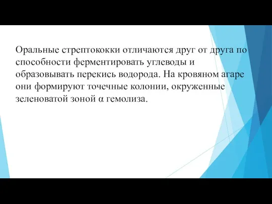 Оральные стрептококки отличаются друг от друга по способности ферментировать углеводы и образовывать