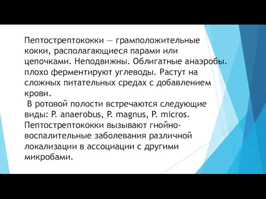 Пептострептококки — грамположительные кокки, располагающиеся парами или цепочками. Неподвижны. Облигатные анаэробы. плохо