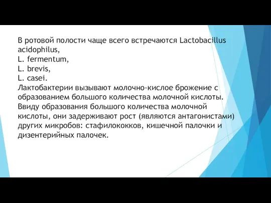 В ротовой полости чаще всего встречаются Lactobacillus acidophilus, L. fermentum, L. brevis,