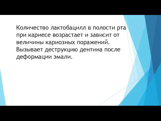 Количество лактобацилл в полости рта при кариесе возрастает и зависит от величины