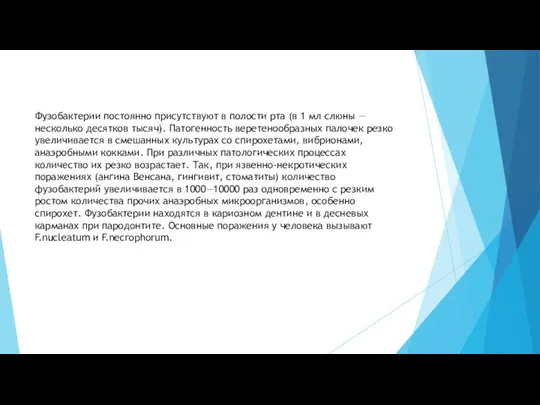 Фузобактерии постоянно присутствуют в полости рта (в 1 мл слюны — несколько