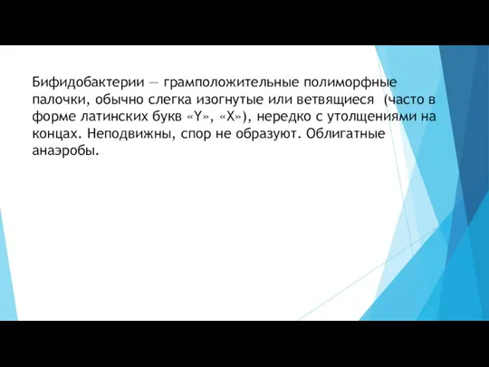 Бифидобактерии — грамположительные полиморфные палочки, обычно слегка изогнутые или ветвящиеся (часто в