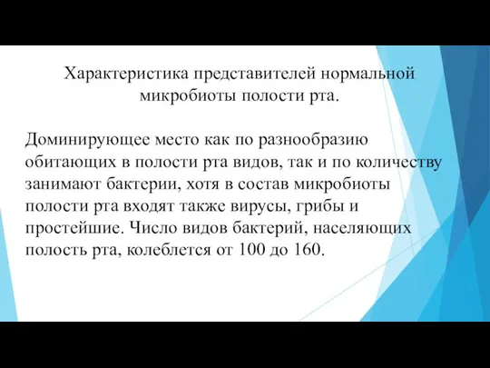 Характеристика представителей нормальной микробиоты полости рта. Доминирующее место как по разнообразию обитающих