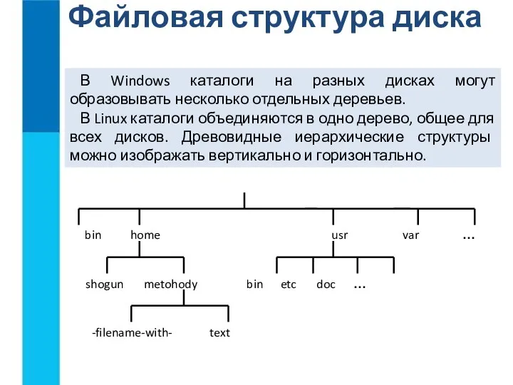 Файловая структура диска В Windows каталоги на разных дисках могут образовывать несколько