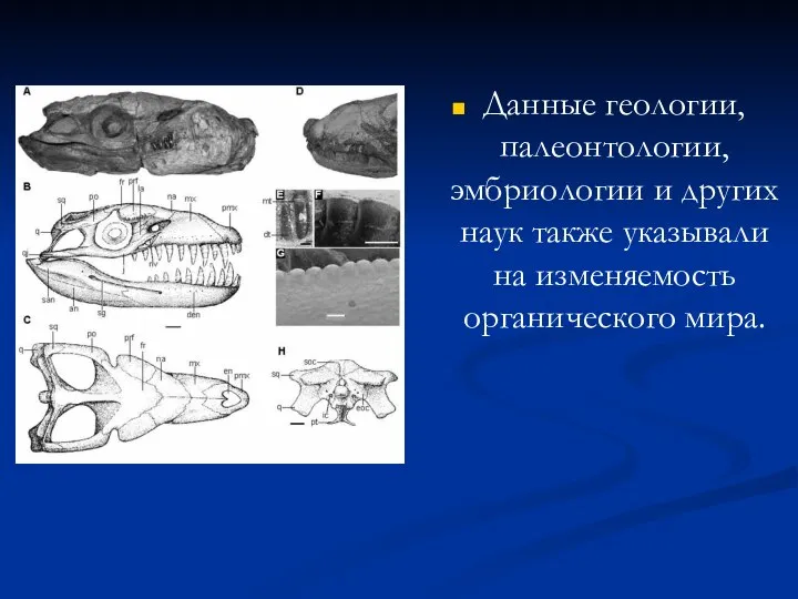 Данные геологии, палеонтологии, эмбриологии и других наук также указывали на изменяемость органического мира.