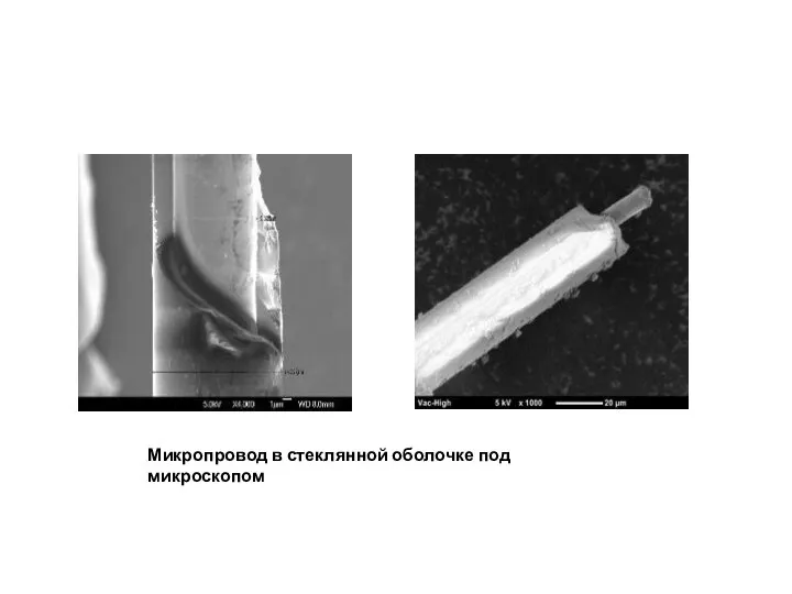 Микропровод в стеклянной оболочке под микроскопом