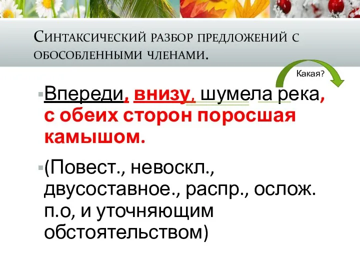 Синтаксический разбор предложений с обособленными членами. Впереди, внизу, шумела река, с обеих