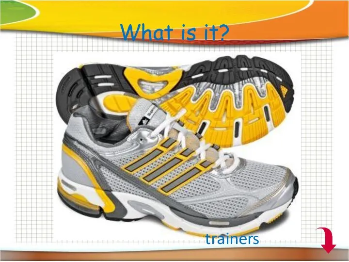 What is it? trainers