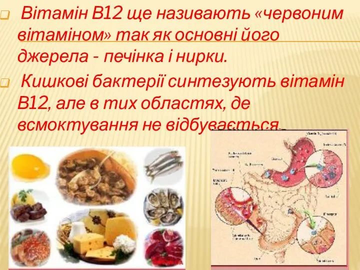 Вітамін В12 ще називають «червоним вітаміном» так як основні його джерела -