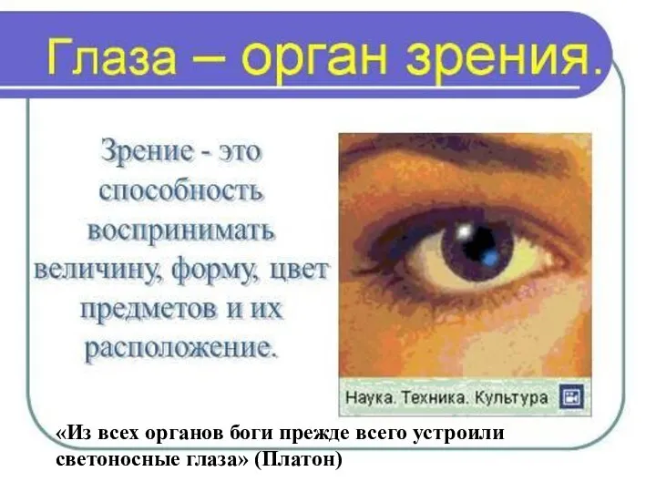 «Из всех органов боги прежде всего устроили светоносные глаза» (Платон)