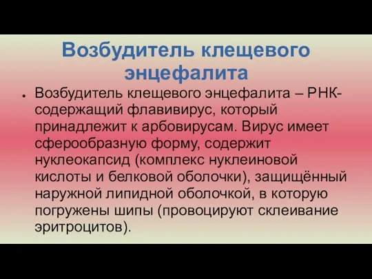 Возбудитель клещевого энцефалита Возбудитель клещевого энцефалита – РНК-содержащий флавивирус, который принадлежит к