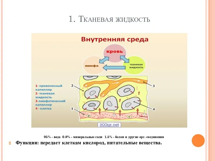 1. Тканевая жидкость 95% - вода 0.9% - минеральные соли 1.5% -