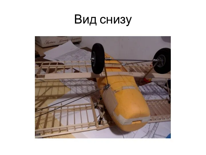 Вид снизу