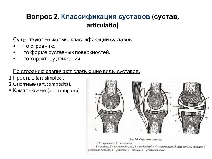 Вопрос 2. Классификация суставов (сустав, articulatio) Существуют несколько классификаций суставов: • по