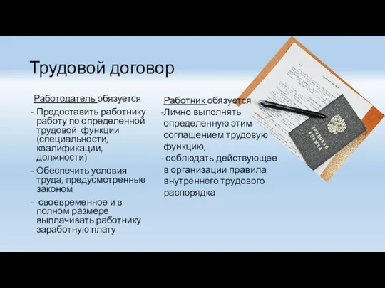 Трудовой договор Работодатель обязуется Предоставить работнику работу по определенной трудовой функции (специальности,