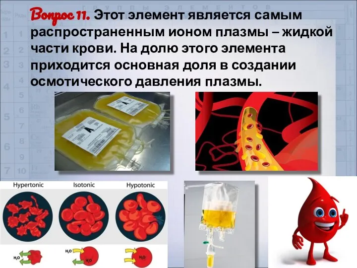 Вопрос 11. Этот элемент является самым распространенным ионом плазмы – жидкой части