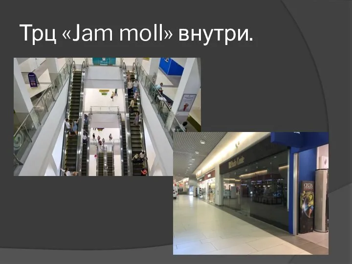 Трц «Jam moll» внутри.