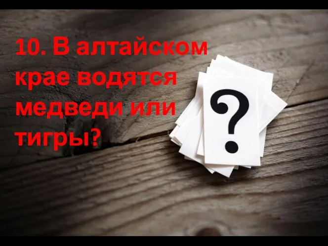 10. В алтайском крае водятся медведи или тигры?