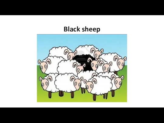 Black sheep