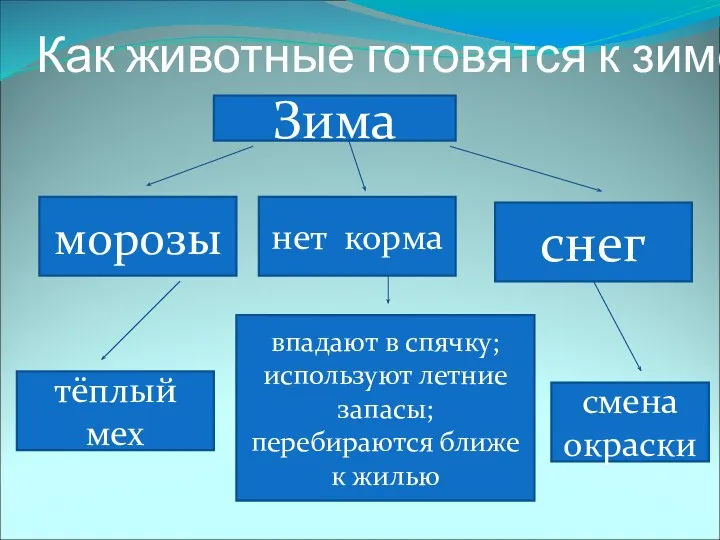 Как животные готовятся к зиме? Зима морозы нет корма снег тёплый мех