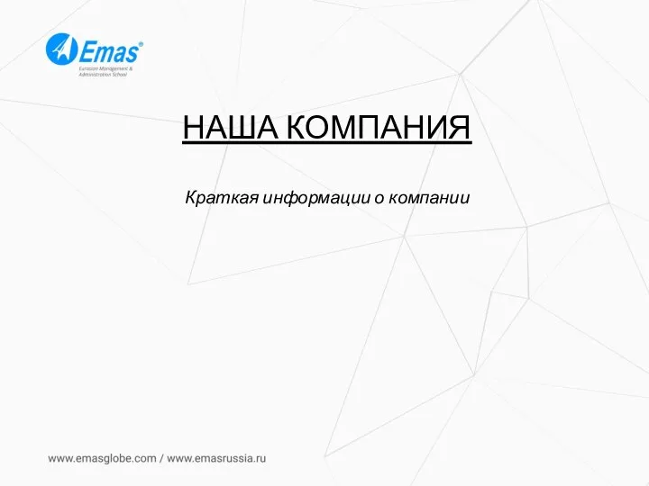 НАША КОМПАНИЯ Краткая информации о компании