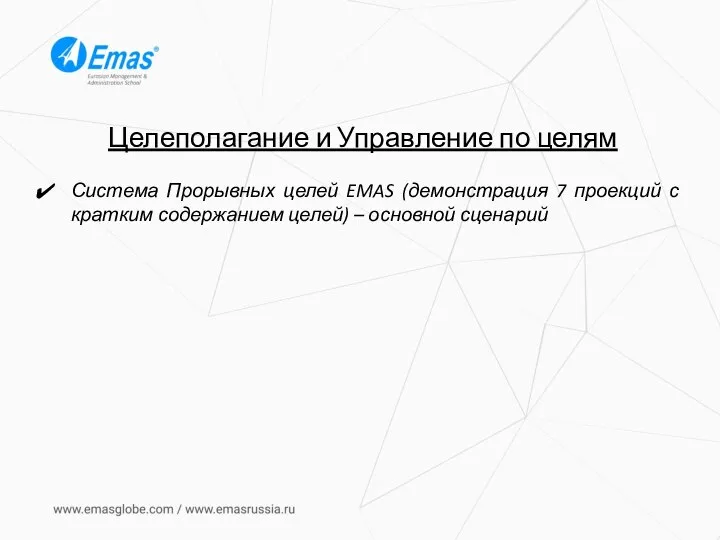 Целеполагание и Управление по целям Система Прорывных целей EMAS (демонстрация 7 проекций