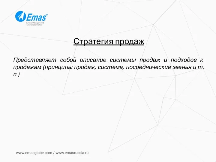 Стратегия продаж Представляет собой описание системы продаж и подходов к продажам (принципы