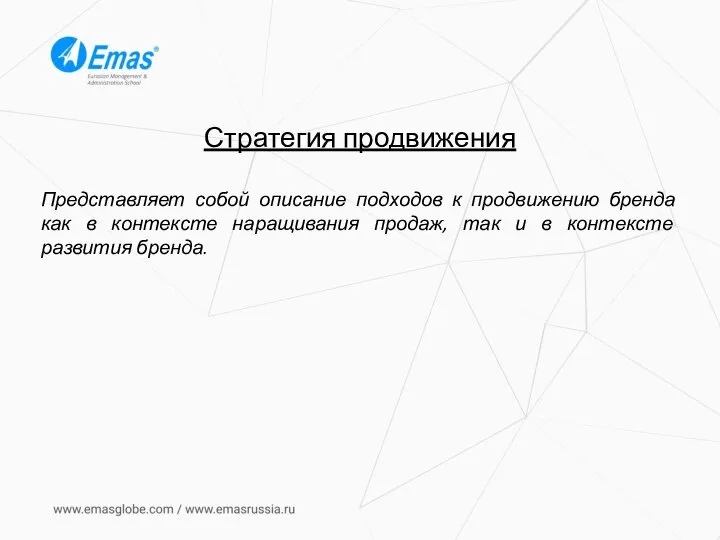 Стратегия продвижения Представляет собой описание подходов к продвижению бренда как в контексте