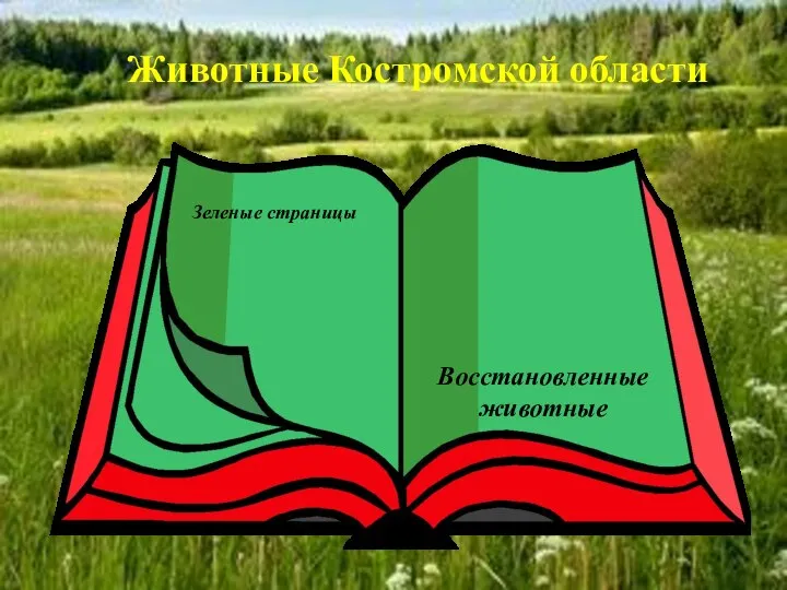 Животные Костромской области Зеленые страницы Восстановленные животные