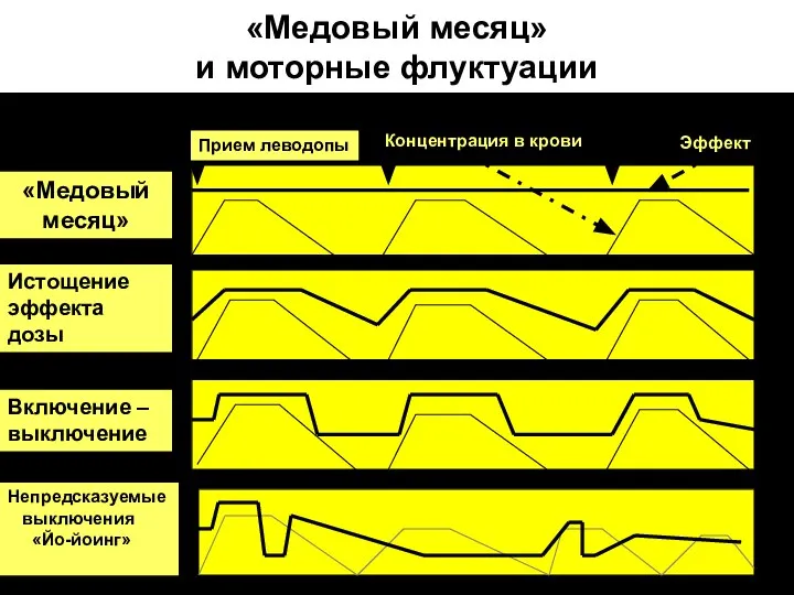 «Медовый месяц» и моторные флуктуации «Медовый месяц» Истощение эффекта дозы Прием леводопы