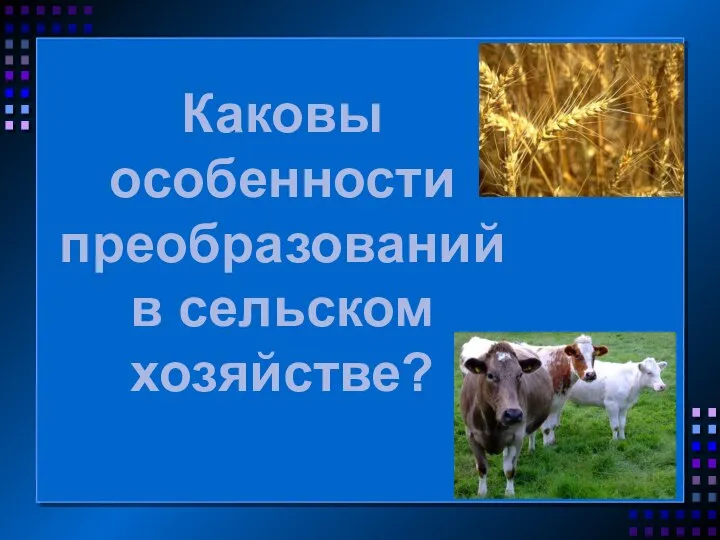 Каковы особенности преобразований в сельском хозяйстве?