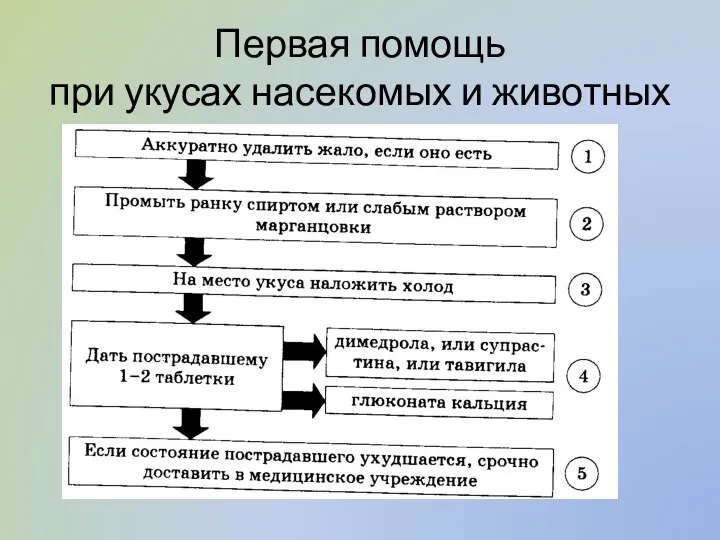 Первая помощь при укусах насекомых и животных