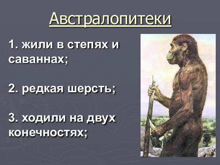 Австралопитеки 1. жили в степях и саваннах; 2. редкая шерсть; 3. ходили на двух конечностях;