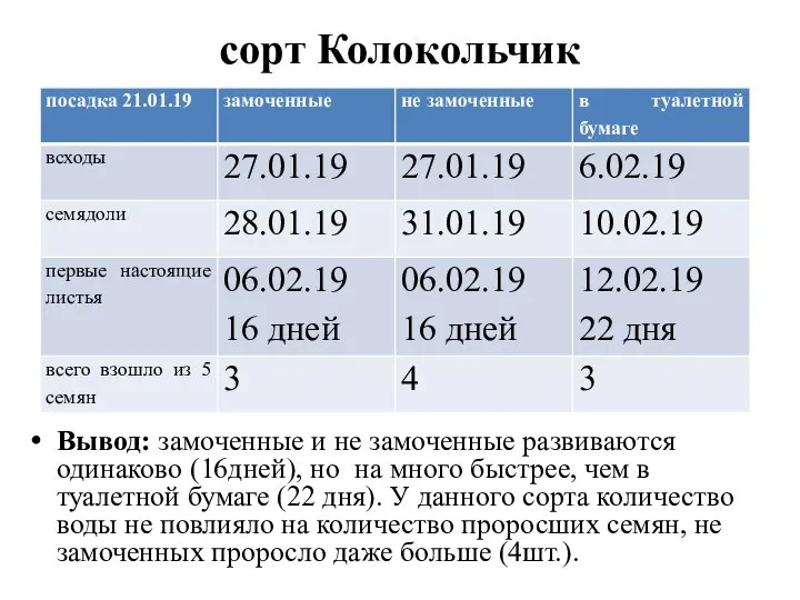 сорт Колокольчик Вывод: замоченные и не замоченные развиваются одинаково (16дней), но на