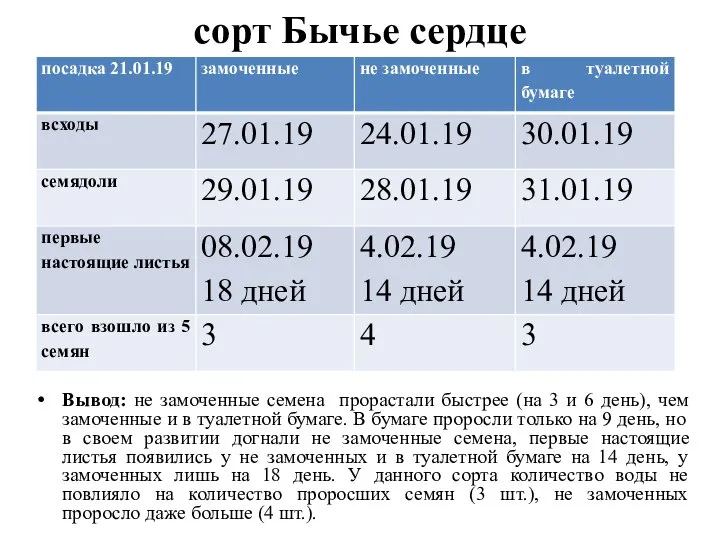 сорт Бычье сердце Вывод: не замоченные семена прорастали быстрее (на 3 и