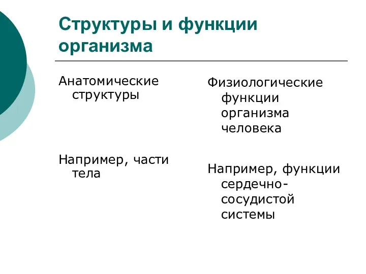 Структуры и функции организма Анатомические структуры Например, части тела Физиологические функции организма