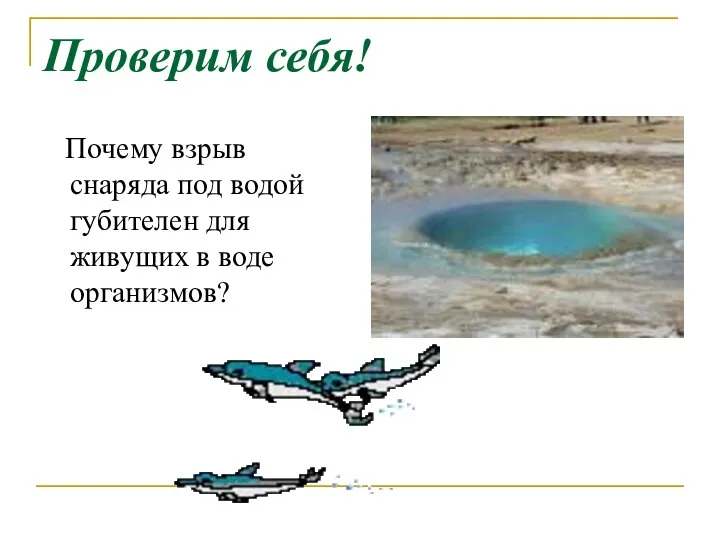 Проверим себя! Почему взрыв снаряда под водой губителен для живущих в воде организмов?