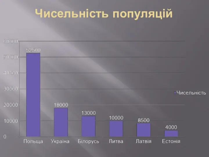 Чисельність популяцій