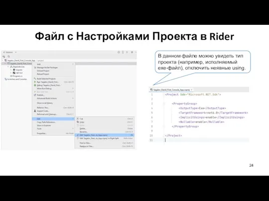 Файл с Настройками Проекта в Rider